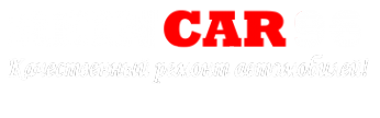 Логотип компании ReinCAR96