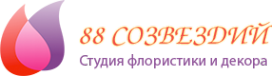 Логотип компании 88 Созвездий студия флористики