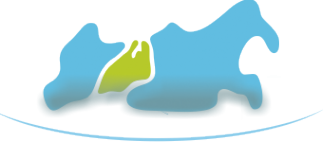 Логотип компании АйЛенд