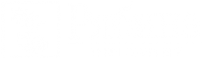 Логотип компании Рябина IT