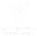 Логотип компании VJ Studio