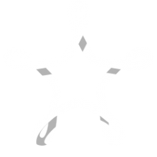 Логотип компании BlotPro