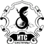 Логотип компании ИТС-системы