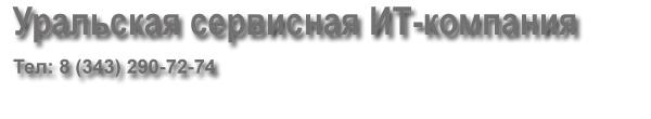 Логотип компании Уральская сервисная ИТ-компания