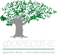 Логотип компании Форест-Е