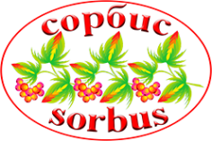 Логотип компании Сорбис