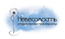 Логотип компании Невесомость