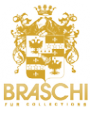 Логотип компании Braschi