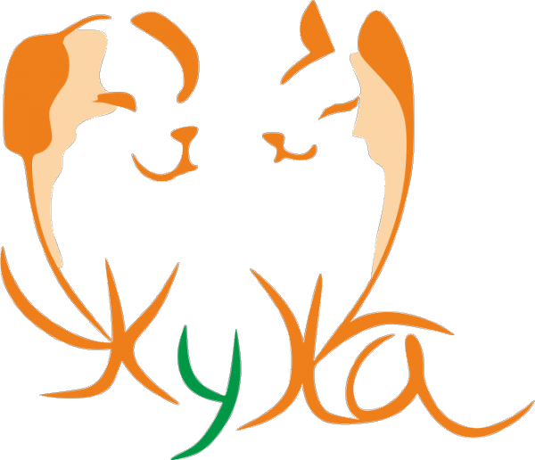 Логотип компании Жужа
