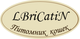Логотип компании LBriCatiN