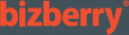 Логотип компании Bizberry