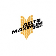 Логотип компании Авто Maximum