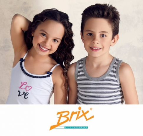 Логотип компании BRIX