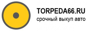 Логотип компании Торпеда66
