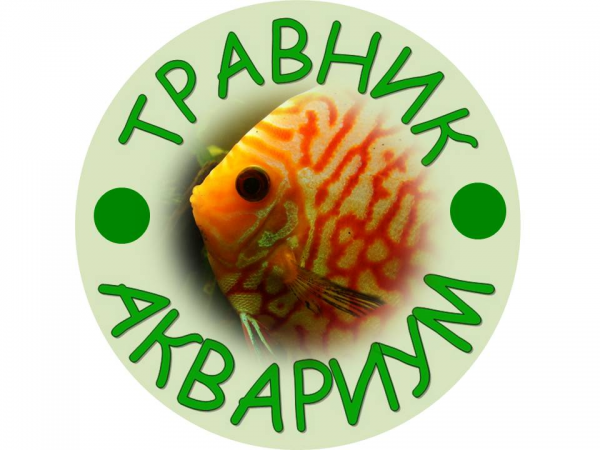 Логотип компании Аквадерево.рф