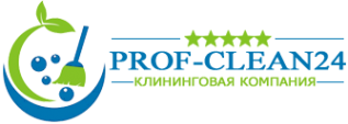 Логотип компании Prof-Clean24