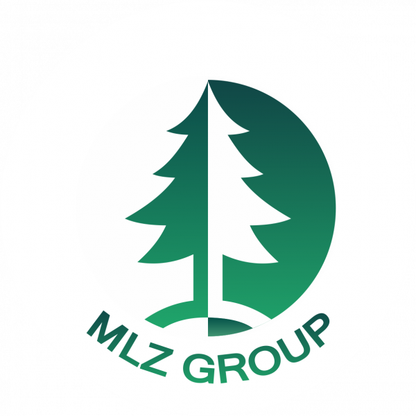 Логотип компании mlzgroup