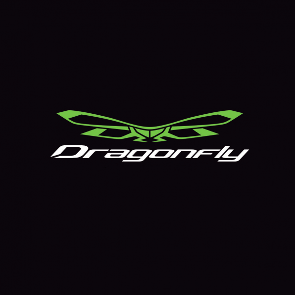Логотип компании Dragonfly