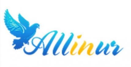 Логотип компании Алинур