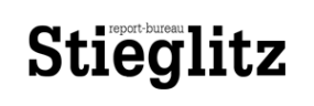 Логотип компании Стиглиц