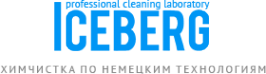 Логотип компании Iceberg
