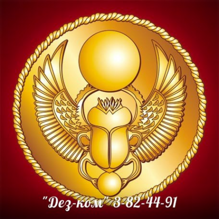 Логотип компании Дез-ком