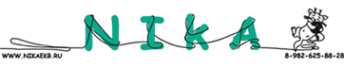 Логотип компании НикаЕкб
