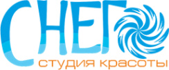 Логотип компании Снег