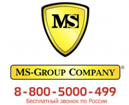 Логотип компании MS