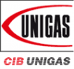 Логотип компании Чиб Унигаз