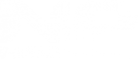 Логотип компании НекоПайп