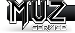 Логотип компании МузСЕРВИС