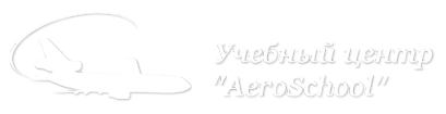 Логотип компании AeroSchool