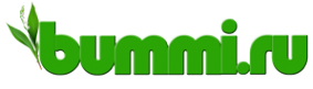 Логотип компании Bummi.ru