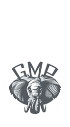 Логотип компании GMPMUSIC.RU