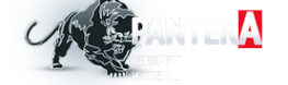 Логотип компании Pantera
