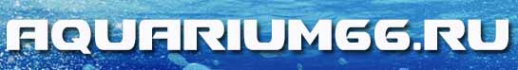 Логотип компании AquaR