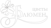 Логотип компании Блюмен