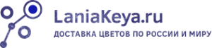 Логотип компании LaniaKeya.ru