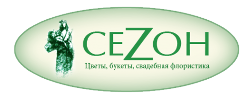 Логотип компании СеZon