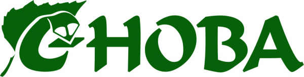 Логотип компании С-НОВА центр бухгалтерских