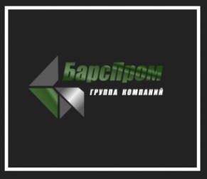 Логотип компании БарсПром-Екатеринбург
